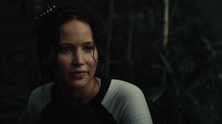 The_Hunger_Games_Catching_Fire_2013_1080p_BluRay_x264_AAC_-_Ozlem_07088.jpg