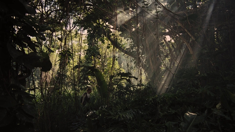 The_Hunger_Games_Catching_Fire_2013_1080p_BluRay_x264_AAC_-_Ozlem_07131.jpg