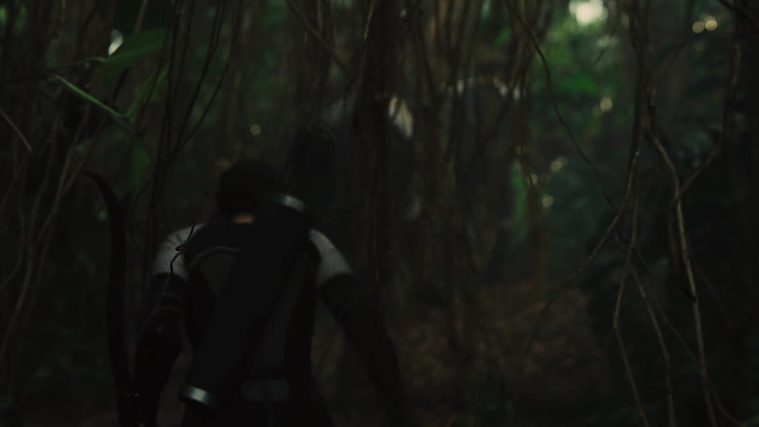The_Hunger_Games_Catching_Fire_2013_1080p_BluRay_x264_AAC_-_Ozlem_07159.jpg