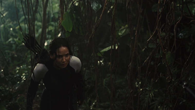 The_Hunger_Games_Catching_Fire_2013_1080p_BluRay_x264_AAC_-_Ozlem_07160.jpg
