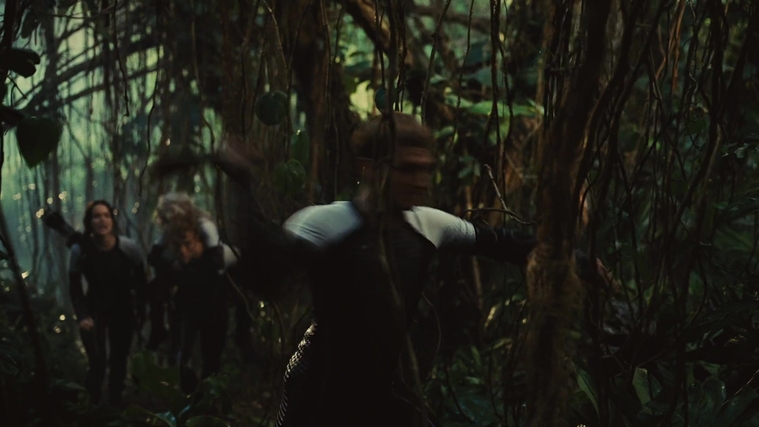 The_Hunger_Games_Catching_Fire_2013_1080p_BluRay_x264_AAC_-_Ozlem_07175.jpg