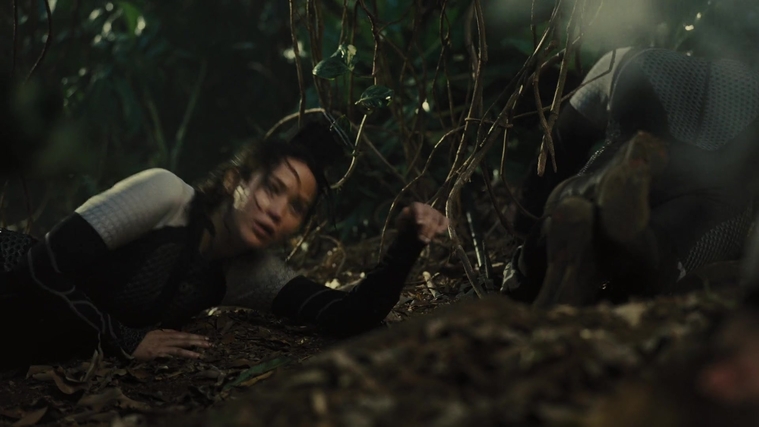 The_Hunger_Games_Catching_Fire_2013_1080p_BluRay_x264_AAC_-_Ozlem_07180.jpg