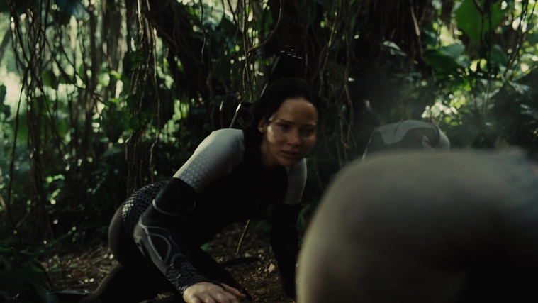 The_Hunger_Games_Catching_Fire_2013_1080p_BluRay_x264_AAC_-_Ozlem_07185.jpg