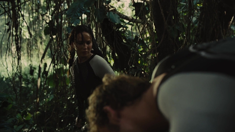 The_Hunger_Games_Catching_Fire_2013_1080p_BluRay_x264_AAC_-_Ozlem_07202.jpg