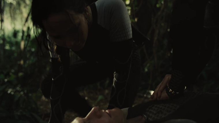 The_Hunger_Games_Catching_Fire_2013_1080p_BluRay_x264_AAC_-_Ozlem_07206.jpg