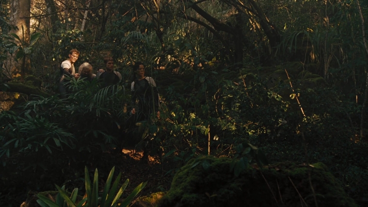 The_Hunger_Games_Catching_Fire_2013_1080p_BluRay_x264_AAC_-_Ozlem_07343.jpg