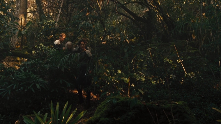 The_Hunger_Games_Catching_Fire_2013_1080p_BluRay_x264_AAC_-_Ozlem_07347.jpg