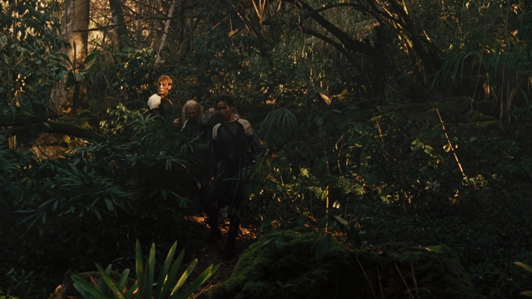 The_Hunger_Games_Catching_Fire_2013_1080p_BluRay_x264_AAC_-_Ozlem_07349.jpg