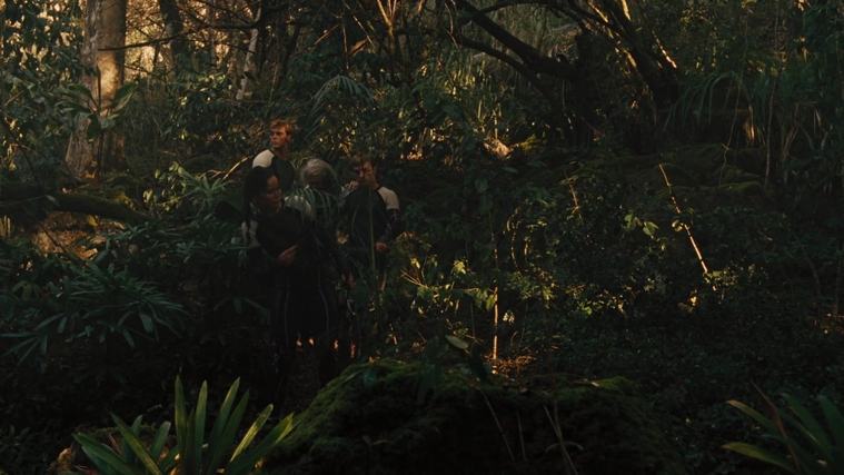 The_Hunger_Games_Catching_Fire_2013_1080p_BluRay_x264_AAC_-_Ozlem_07353.jpg