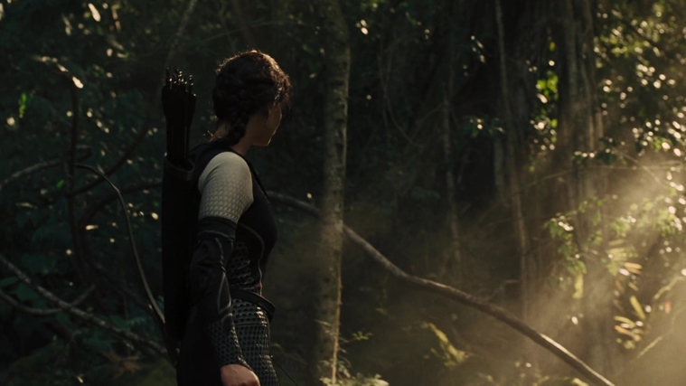 The_Hunger_Games_Catching_Fire_2013_1080p_BluRay_x264_AAC_-_Ozlem_07358.jpg
