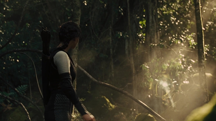 The_Hunger_Games_Catching_Fire_2013_1080p_BluRay_x264_AAC_-_Ozlem_07360.jpg