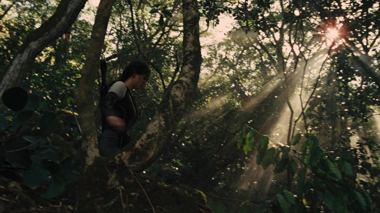The_Hunger_Games_Catching_Fire_2013_1080p_BluRay_x264_AAC_-_Ozlem_07365.jpg