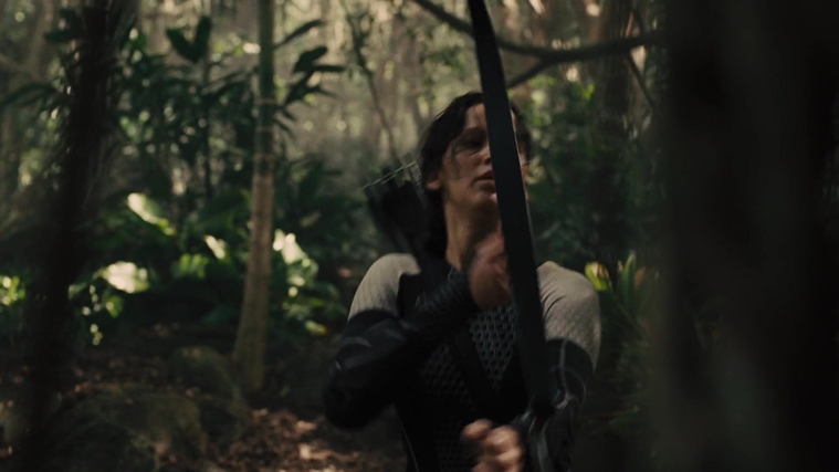 The_Hunger_Games_Catching_Fire_2013_1080p_BluRay_x264_AAC_-_Ozlem_07370.jpg