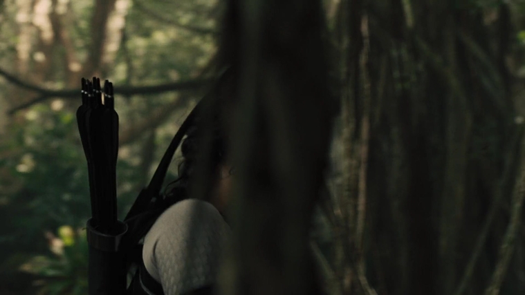 The_Hunger_Games_Catching_Fire_2013_1080p_BluRay_x264_AAC_-_Ozlem_07373.jpg