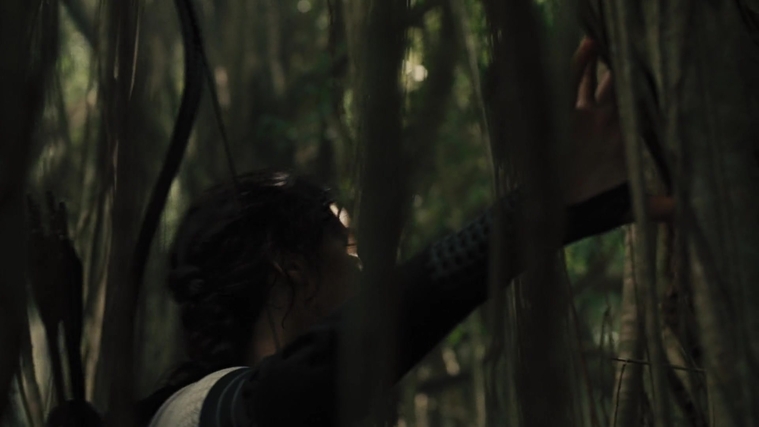 The_Hunger_Games_Catching_Fire_2013_1080p_BluRay_x264_AAC_-_Ozlem_07375.jpg