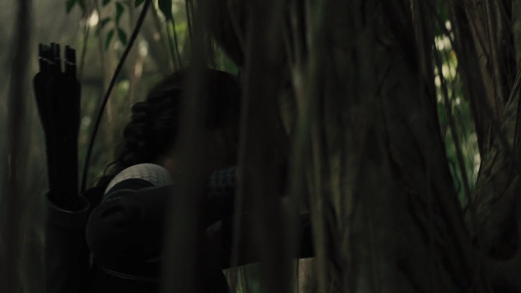 The_Hunger_Games_Catching_Fire_2013_1080p_BluRay_x264_AAC_-_Ozlem_07377.jpg