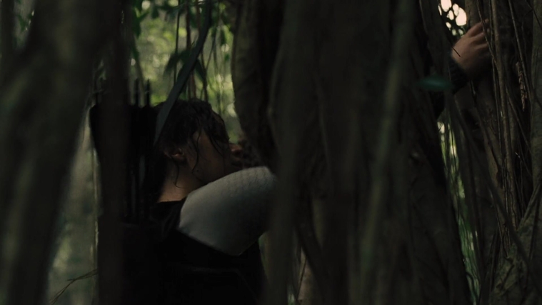 The_Hunger_Games_Catching_Fire_2013_1080p_BluRay_x264_AAC_-_Ozlem_07379.jpg