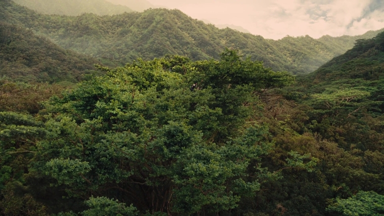 The_Hunger_Games_Catching_Fire_2013_1080p_BluRay_x264_AAC_-_Ozlem_07391.jpg