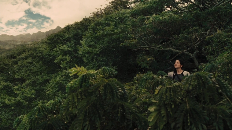The_Hunger_Games_Catching_Fire_2013_1080p_BluRay_x264_AAC_-_Ozlem_07420.jpg
