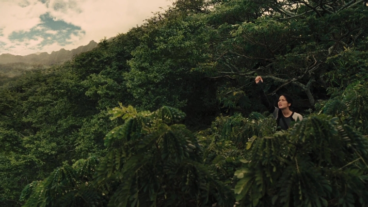 The_Hunger_Games_Catching_Fire_2013_1080p_BluRay_x264_AAC_-_Ozlem_07422.jpg