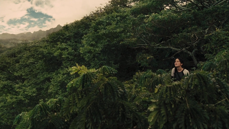 The_Hunger_Games_Catching_Fire_2013_1080p_BluRay_x264_AAC_-_Ozlem_07424.jpg