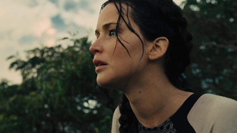 The_Hunger_Games_Catching_Fire_2013_1080p_BluRay_x264_AAC_-_Ozlem_07441.jpg
