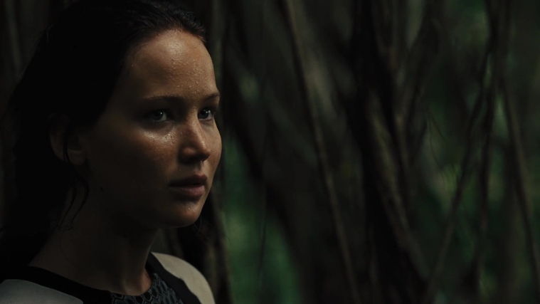 The_Hunger_Games_Catching_Fire_2013_1080p_BluRay_x264_AAC_-_Ozlem_07498.jpg