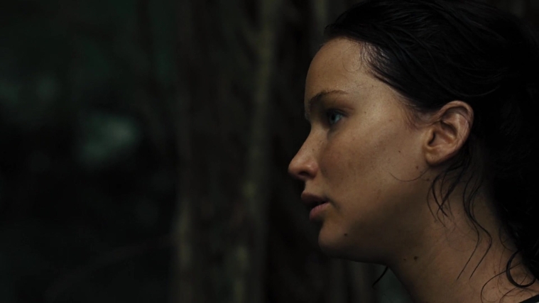 The_Hunger_Games_Catching_Fire_2013_1080p_BluRay_x264_AAC_-_Ozlem_07514.jpg
