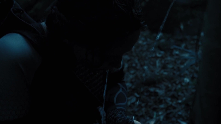 The_Hunger_Games_Catching_Fire_2013_1080p_BluRay_x264_AAC_-_Ozlem_07667.jpg