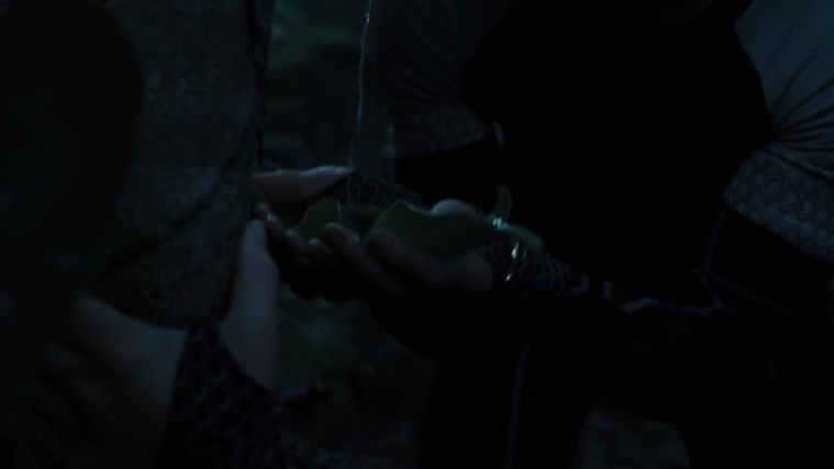 The_Hunger_Games_Catching_Fire_2013_1080p_BluRay_x264_AAC_-_Ozlem_07672.jpg