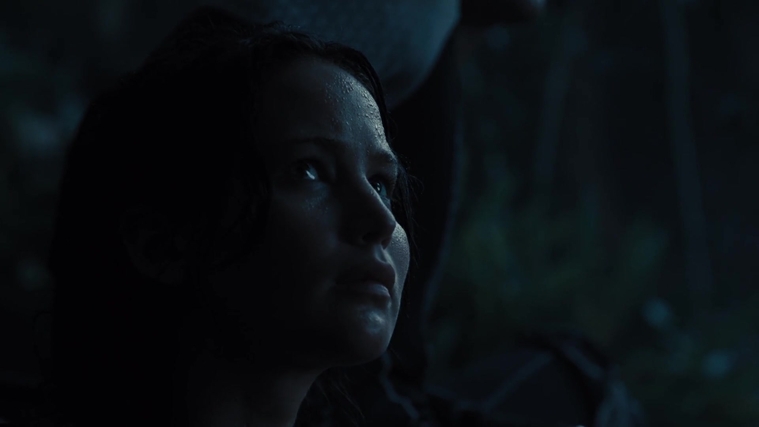 The_Hunger_Games_Catching_Fire_2013_1080p_BluRay_x264_AAC_-_Ozlem_07726.jpg