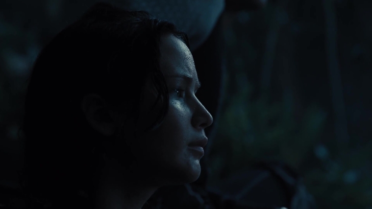 The_Hunger_Games_Catching_Fire_2013_1080p_BluRay_x264_AAC_-_Ozlem_07727.jpg