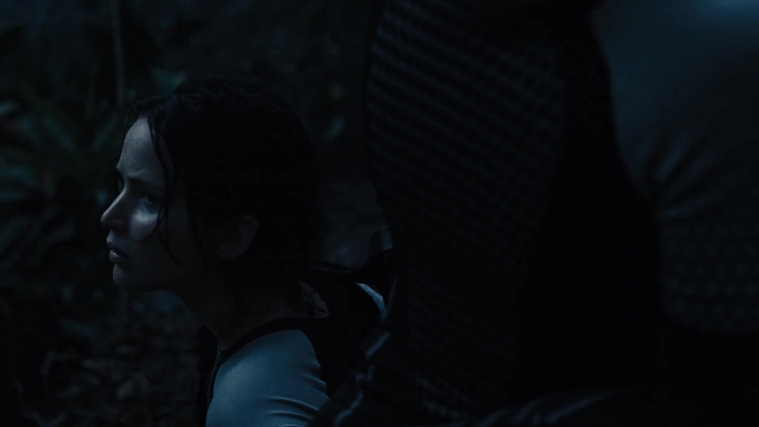 The_Hunger_Games_Catching_Fire_2013_1080p_BluRay_x264_AAC_-_Ozlem_07734.jpg