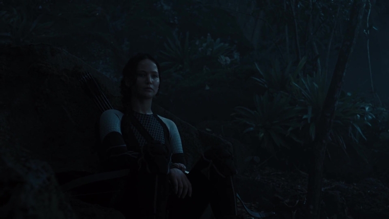 The_Hunger_Games_Catching_Fire_2013_1080p_BluRay_x264_AAC_-_Ozlem_07786.jpg