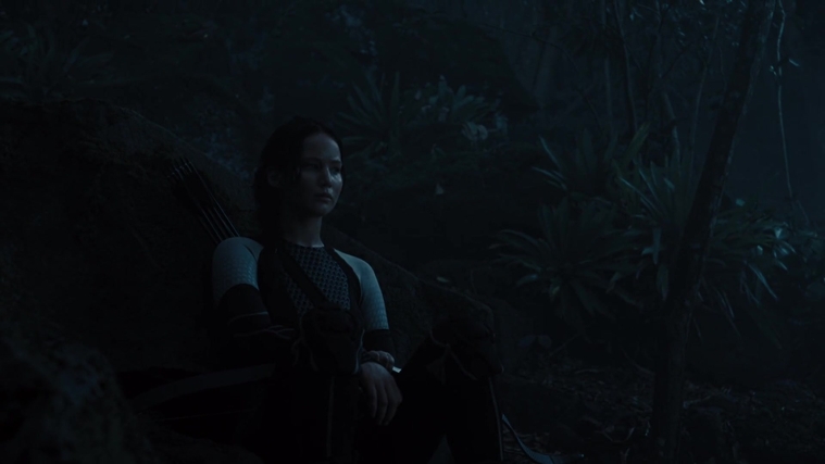 The_Hunger_Games_Catching_Fire_2013_1080p_BluRay_x264_AAC_-_Ozlem_07790.jpg