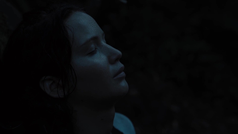 The_Hunger_Games_Catching_Fire_2013_1080p_BluRay_x264_AAC_-_Ozlem_07792.jpg