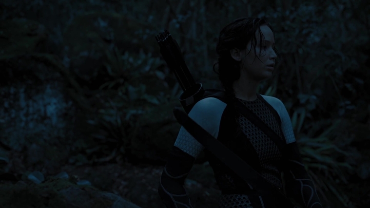 The_Hunger_Games_Catching_Fire_2013_1080p_BluRay_x264_AAC_-_Ozlem_07813.jpg