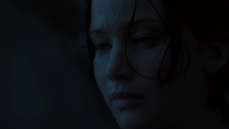 The_Hunger_Games_Catching_Fire_2013_1080p_BluRay_x264_AAC_-_Ozlem_07825.jpg