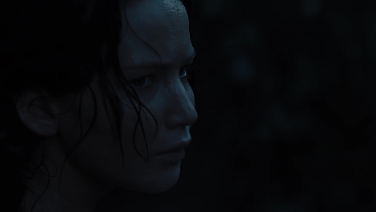 The_Hunger_Games_Catching_Fire_2013_1080p_BluRay_x264_AAC_-_Ozlem_07838.jpg