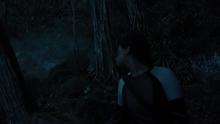 The_Hunger_Games_Catching_Fire_2013_1080p_BluRay_x264_AAC_-_Ozlem_07840.jpg