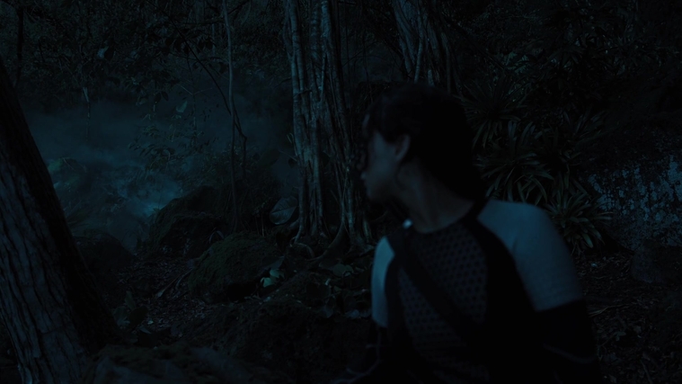 The_Hunger_Games_Catching_Fire_2013_1080p_BluRay_x264_AAC_-_Ozlem_07842.jpg
