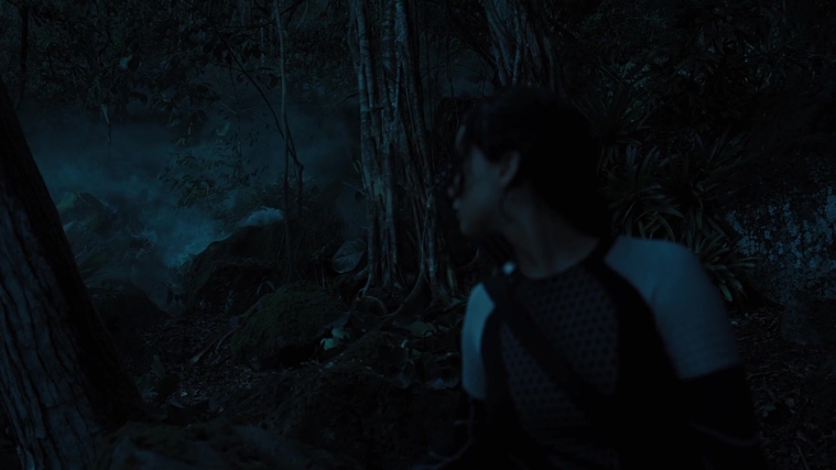 The_Hunger_Games_Catching_Fire_2013_1080p_BluRay_x264_AAC_-_Ozlem_07844.jpg
