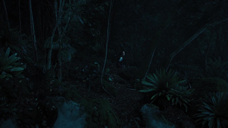 The_Hunger_Games_Catching_Fire_2013_1080p_BluRay_x264_AAC_-_Ozlem_07847.jpg