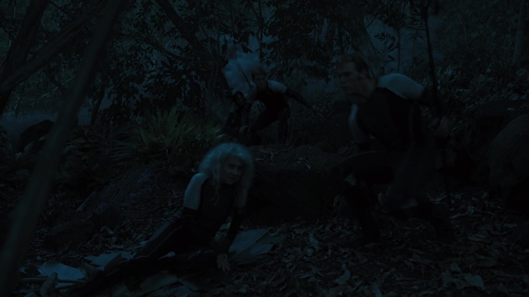 The_Hunger_Games_Catching_Fire_2013_1080p_BluRay_x264_AAC_-_Ozlem_07883.jpg