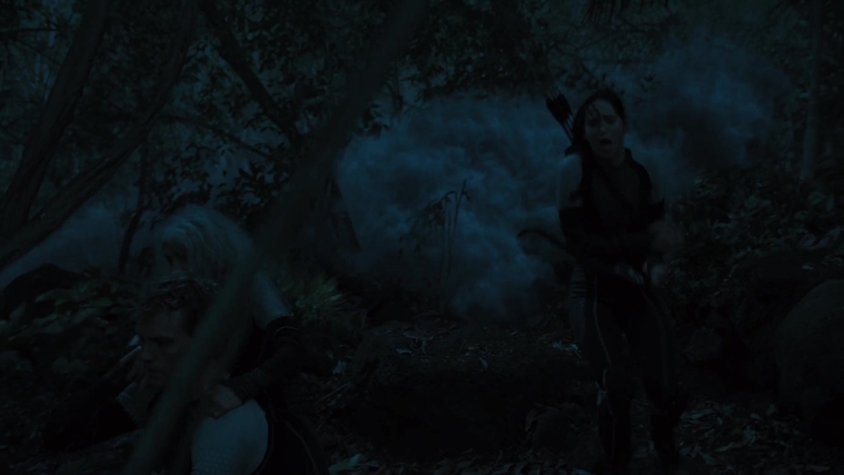 The_Hunger_Games_Catching_Fire_2013_1080p_BluRay_x264_AAC_-_Ozlem_07887.jpg