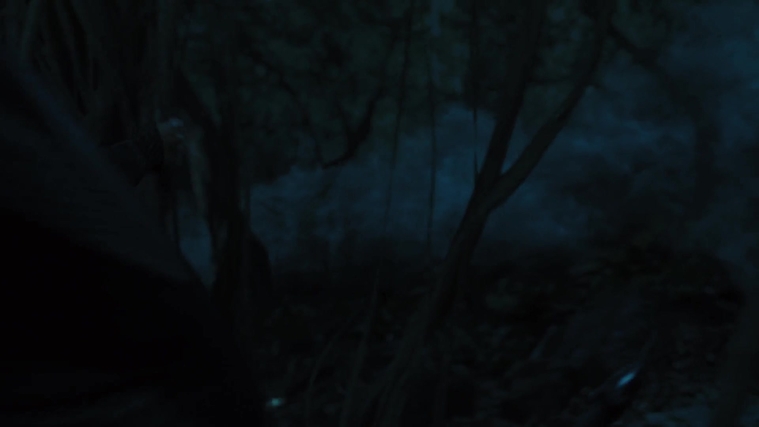 The_Hunger_Games_Catching_Fire_2013_1080p_BluRay_x264_AAC_-_Ozlem_07891.jpg