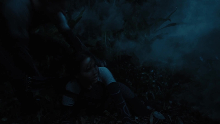 The_Hunger_Games_Catching_Fire_2013_1080p_BluRay_x264_AAC_-_Ozlem_07956.jpg