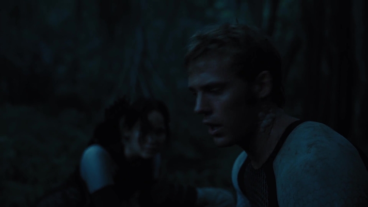 The_Hunger_Games_Catching_Fire_2013_1080p_BluRay_x264_AAC_-_Ozlem_08028.jpg