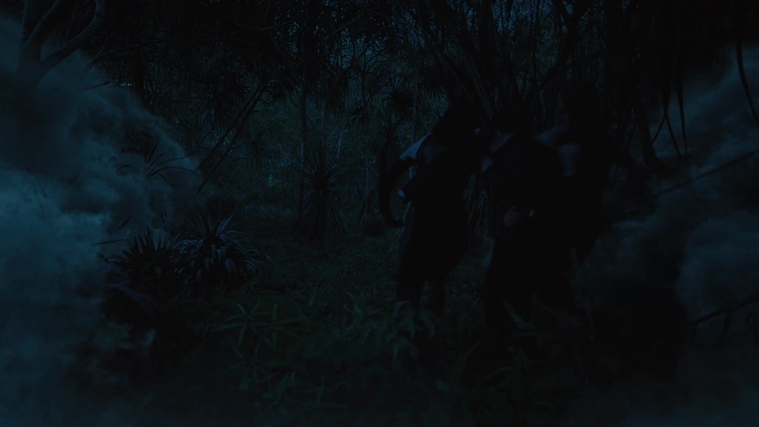 The_Hunger_Games_Catching_Fire_2013_1080p_BluRay_x264_AAC_-_Ozlem_08039.jpg