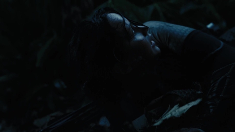 The_Hunger_Games_Catching_Fire_2013_1080p_BluRay_x264_AAC_-_Ozlem_08084.jpg